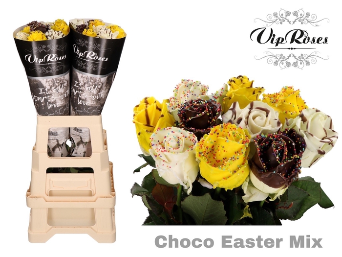 <h4>R Gr Choco Easter Mix</h4>
