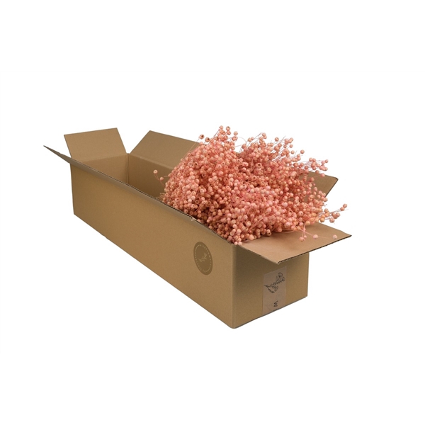 Droogbloemen-Linium Pink Pastel