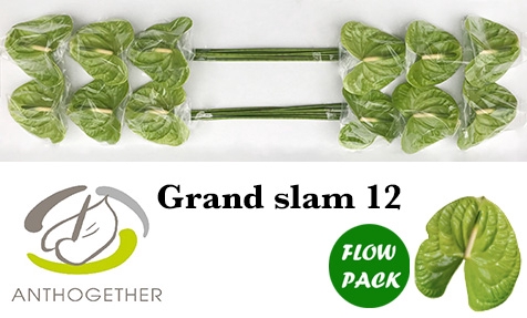 <h4>ANTH A GRAND SLAM 12 Flow Pack</h4>