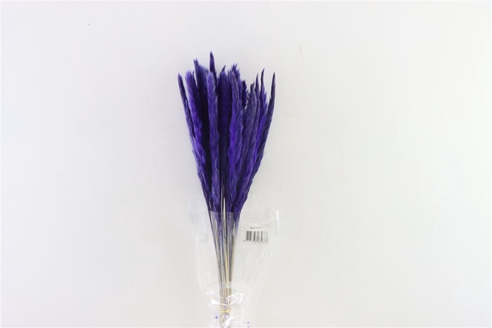 <h4>Dried Fluffy Pampas Lilac Bunch Slv</h4>
