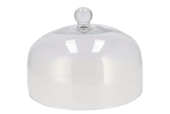 <h4>Glass Stolp Clear 22x30cm</h4>