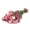 DRIED FLOWERS - HELICHRYSUM NATURAL PINK