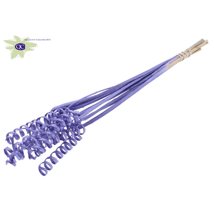 <h4>Cane Spring on stem Metallic Purple</h4>