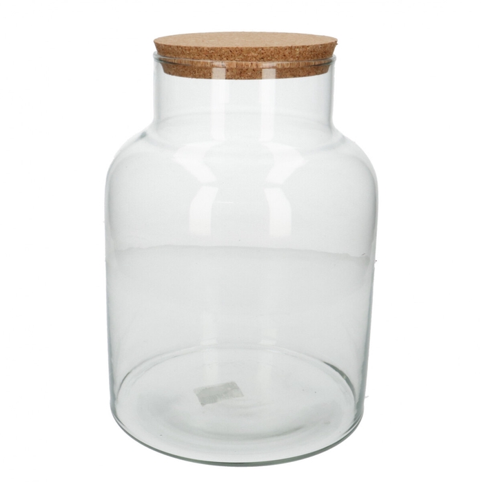 Glass Eco vase+cork d12/18*27cm
