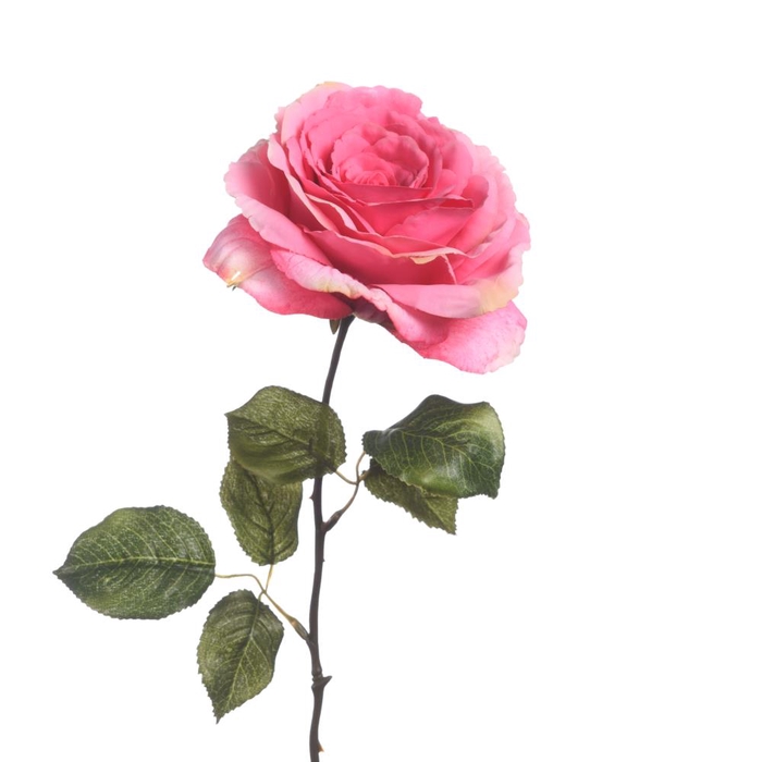 <h4>Af Rosa Giant L56cm Pink</h4>