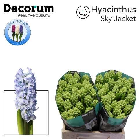 <h4>Hyacinthus sky jacket</h4>
