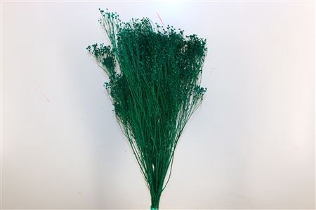 <h4>Dried Broom Bloom Petrol Bunch Poly</h4>