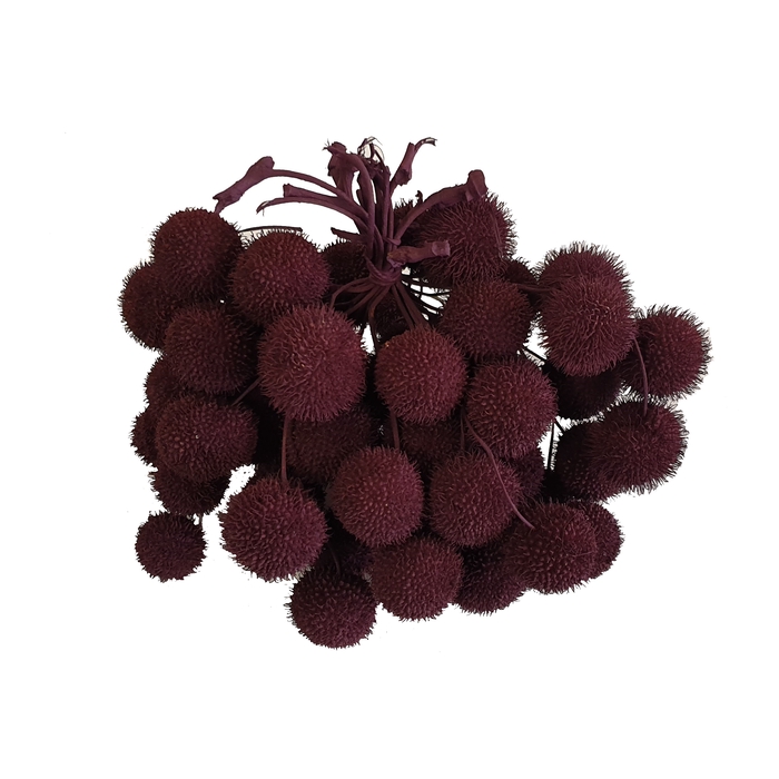 <h4>Small ball per bunch in poly Burgundy</h4>