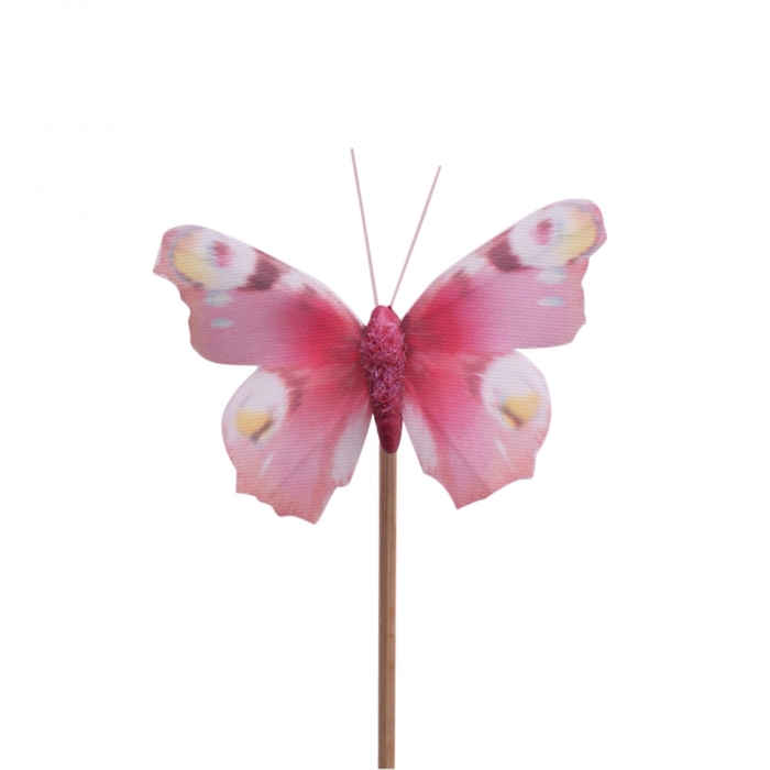 Sticks 50cm Butterfly Auralia 8cm