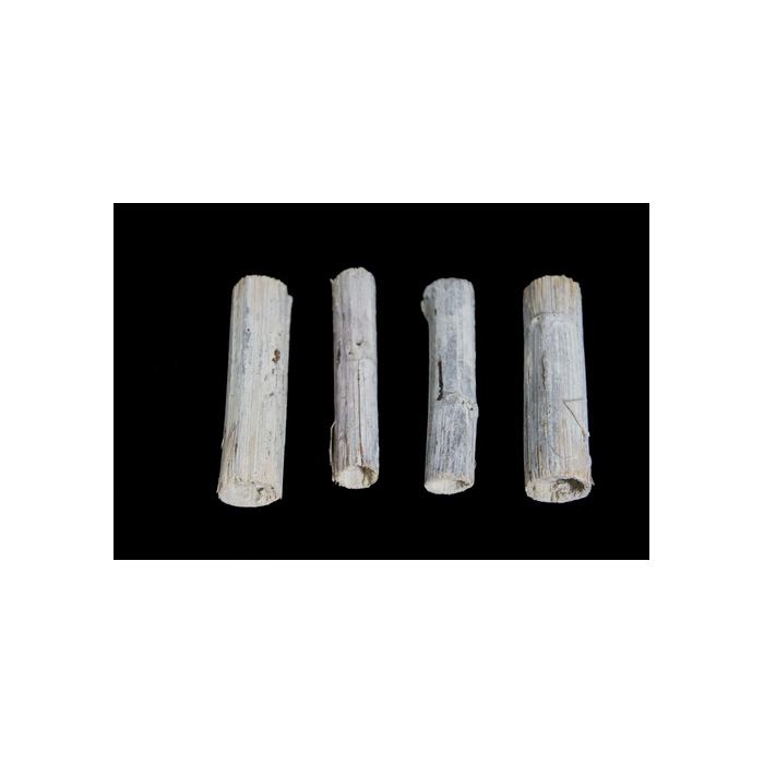 <h4>SUNFLOWER STEMS 10CM STONE WASHED WHITE</h4>