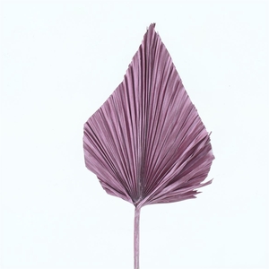 Dried Palm Spear X X L Rose Metallic