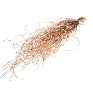 Beargrass dried per bunch Copper