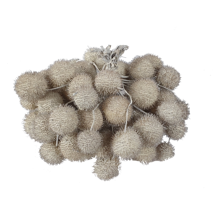 <h4>Small ball per bunch in poly White</h4>