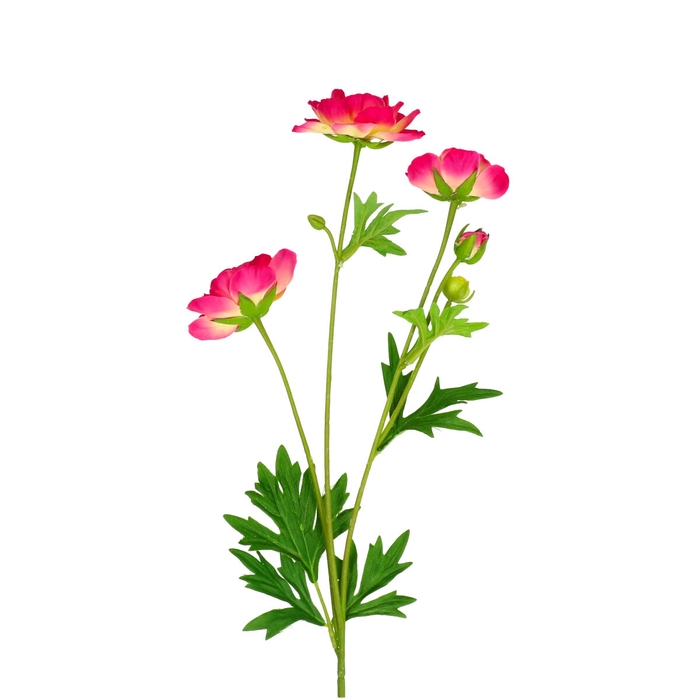 <h4>Artificial flowers Ranunculus 72cm</h4>
