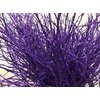 Heidelbeer Purple