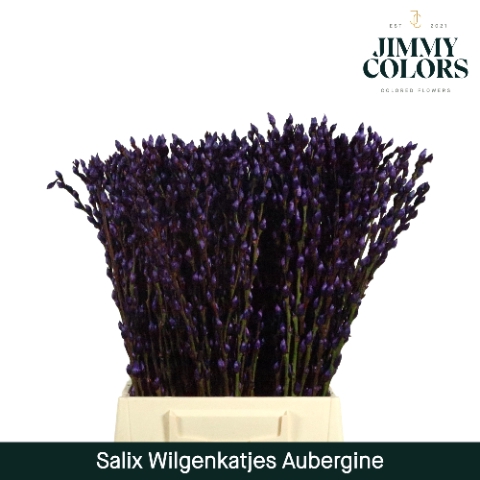 <h4>Salix Katjes L50 Klbh. Aubergine</h4>