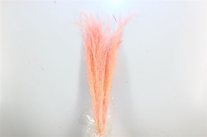 <h4>Dried Agrostis Light Pink Bunch</h4>