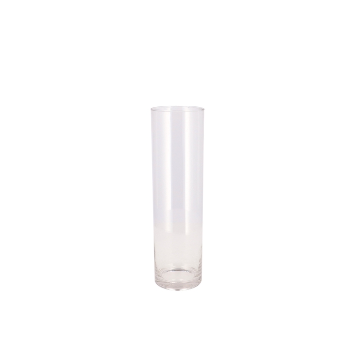 <h4>Glas Cilinder Silo 9x30cm</h4>