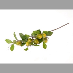 Stem Lemon Plant Green L90w27h20