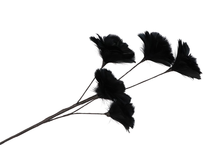 <h4>Silk Feather Flower Black 5 Op Steel 85cm Nm</h4>