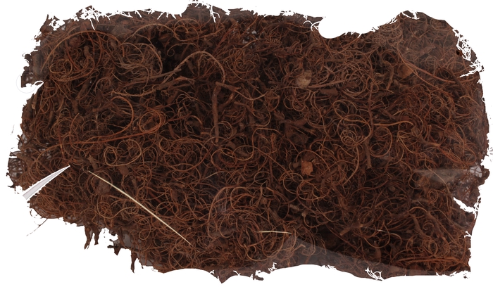 Curly moss 500gr in poly natural