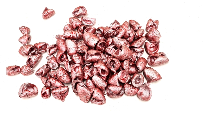 <h4>Lansunia petal 500gr in poly metallic antique red</h4>