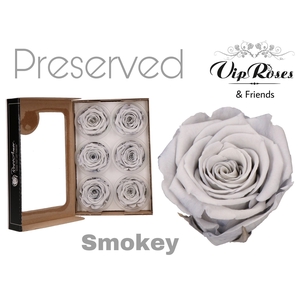 Preserved rosa smokey