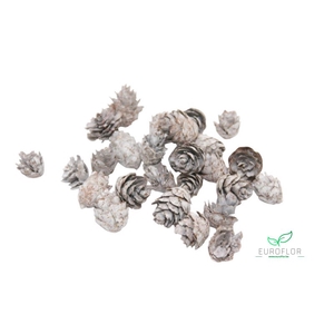 PINECONE BABY SPRUCE 150GR WHITE