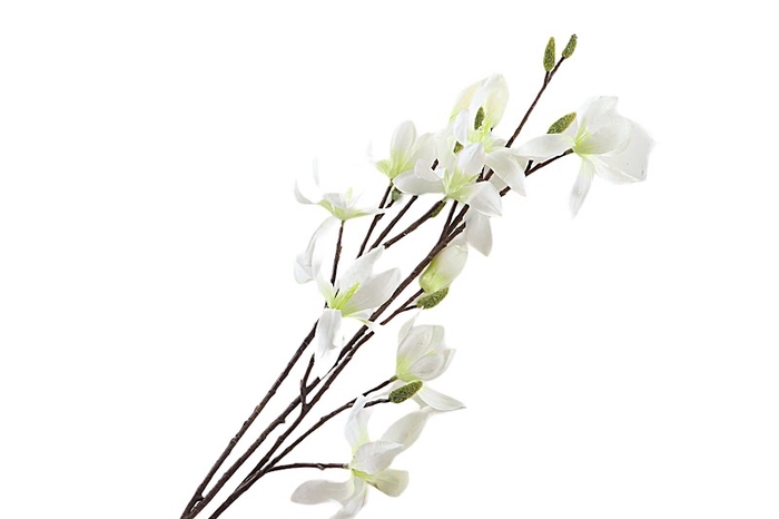 <h4>Magnolia White Green</h4>