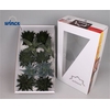 Aloe Mix (wincx) Cutflower Wincx-12cm