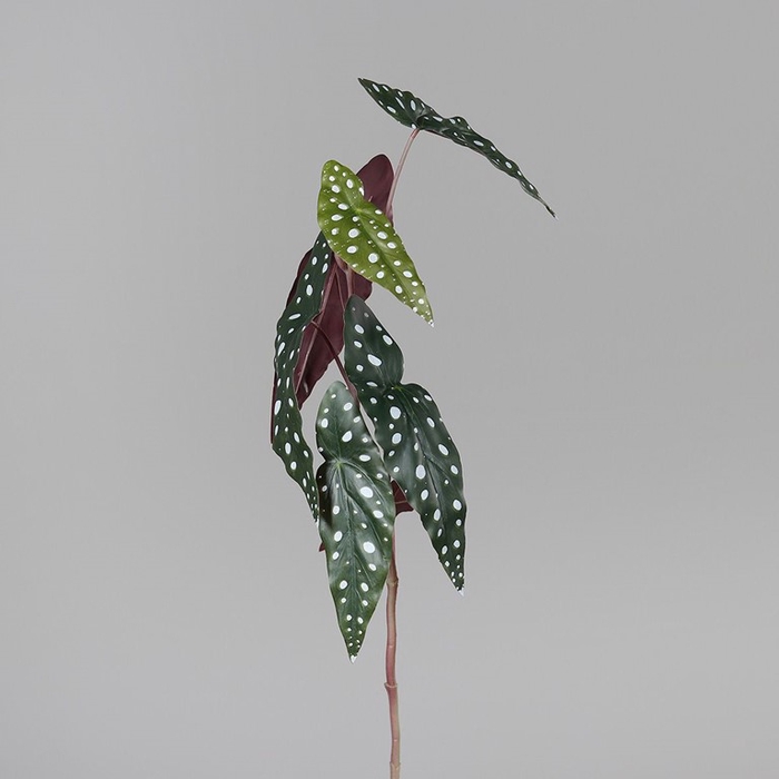 <h4>Begonia leaf 75 cm green</h4>