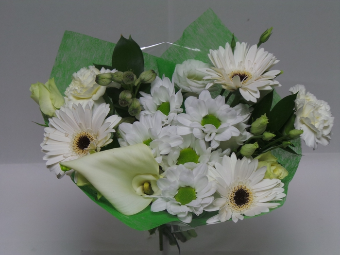 <h4>Bouquet shorties white</h4>