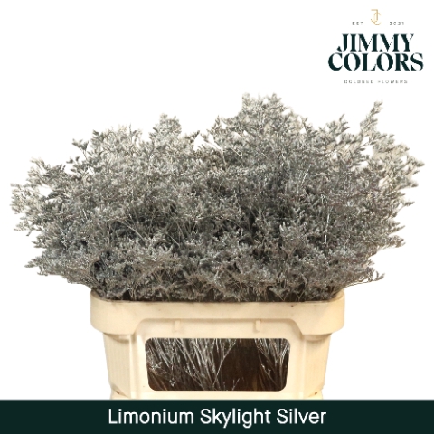 <h4>Limonium skylight paint silver</h4>
