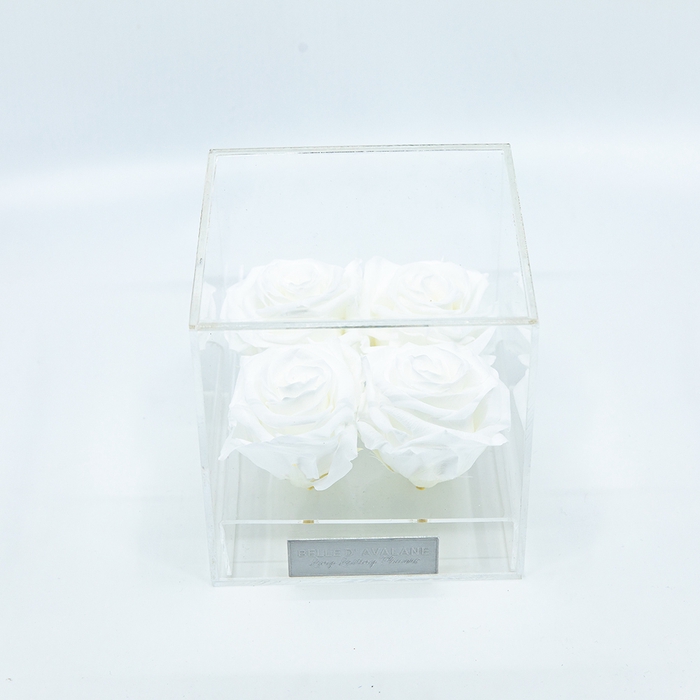 Plexi 12.5cm witte rozen