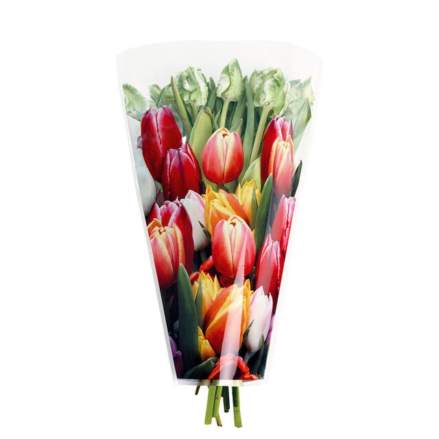 <h4>Hzn 40x30x12cm OPP35 Tulip mix full color</h4>