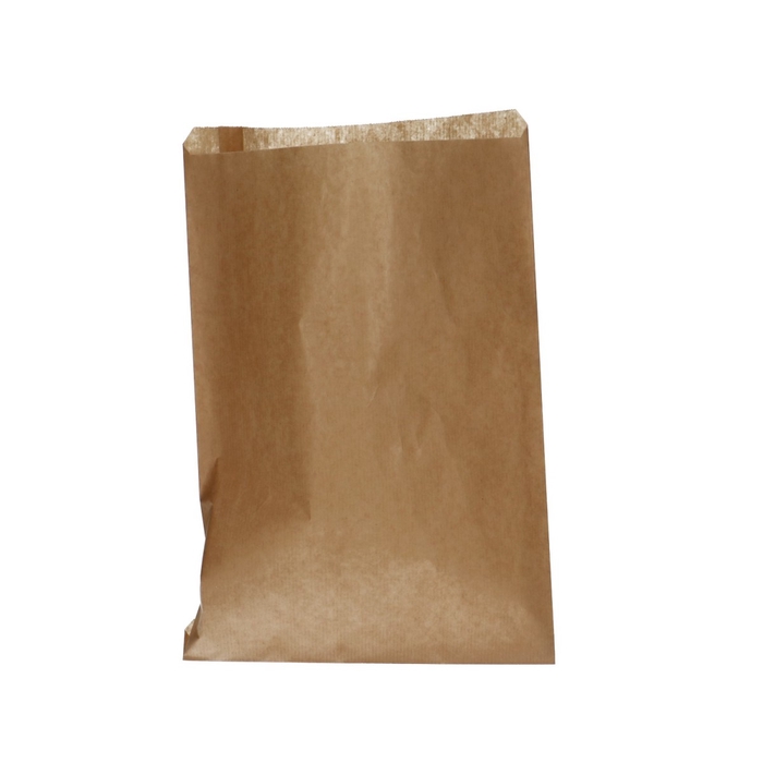 <h4>Bags gift bag 21 30cm</h4>