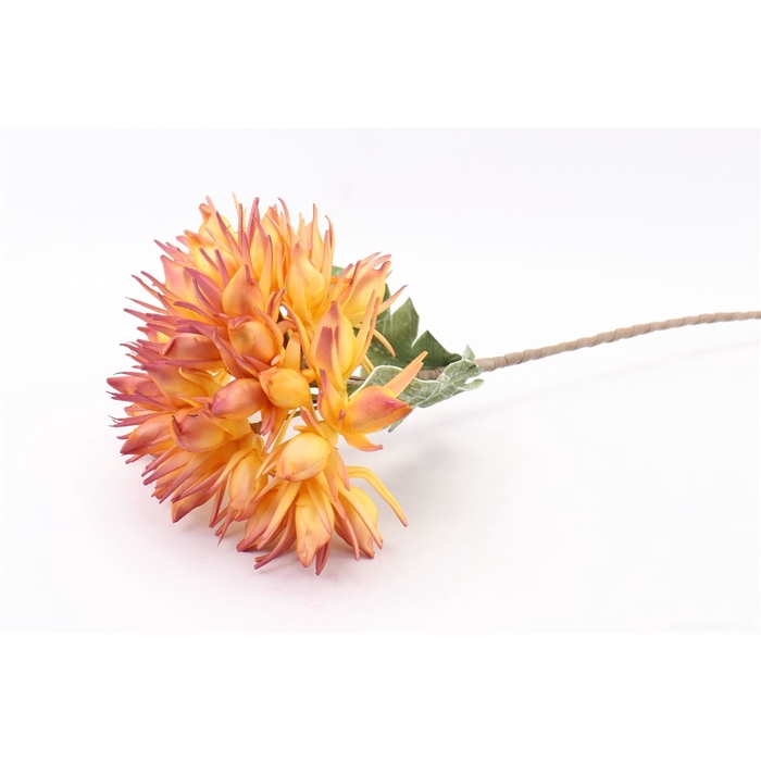 <h4>Artificial Flower Agapantha L78</h4>