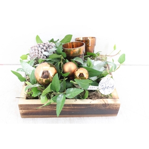arr. PL Hedera - Hout tray 4kant -