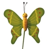 Bijsteker Vlinder flying hout 5x6cm+20cm st groen