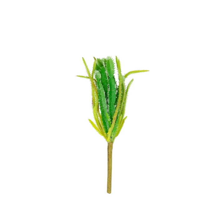 <h4>Artificial plants Cactus 25cm</h4>