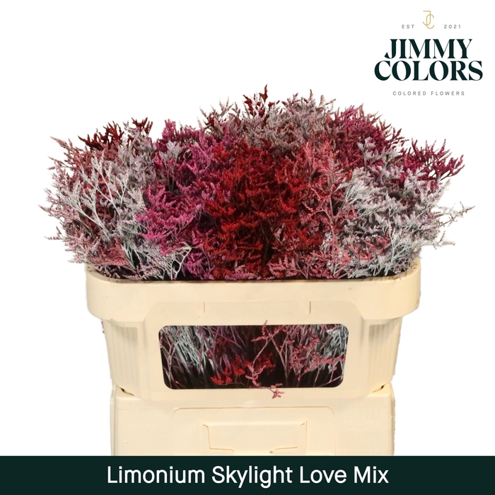 <h4>Limonium Skylight L70 Love Mix</h4>