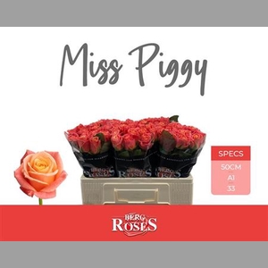 R Gr Miss Piggy+
