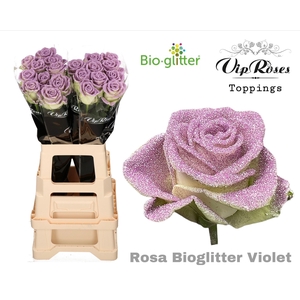 Rosa la paint glitter violet