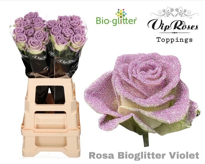 <h4>Rosa la paint glitter violet</h4>