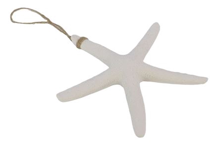 <h4>Hanger Linckia Starfish Rnd L22W3H21</h4>