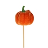 Autumn 50cm Pumpkin 6cm