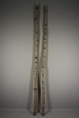 Birch Trunk 4-6cm 240cm