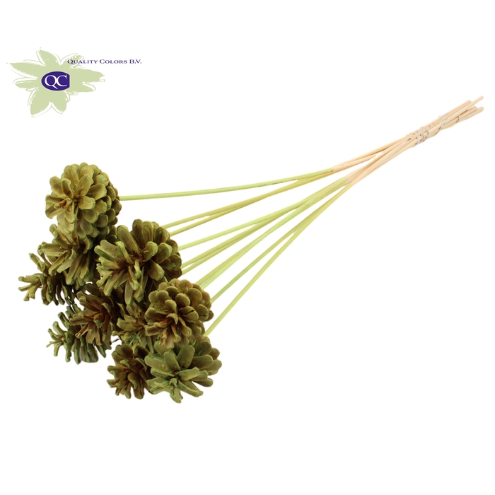 <h4>Pine cone 5-7cm on stem Intense Mint Green</h4>