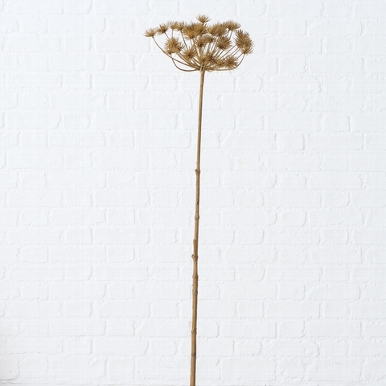 Zijde, Hogweed, H 125 cm, 1 ass, Natural