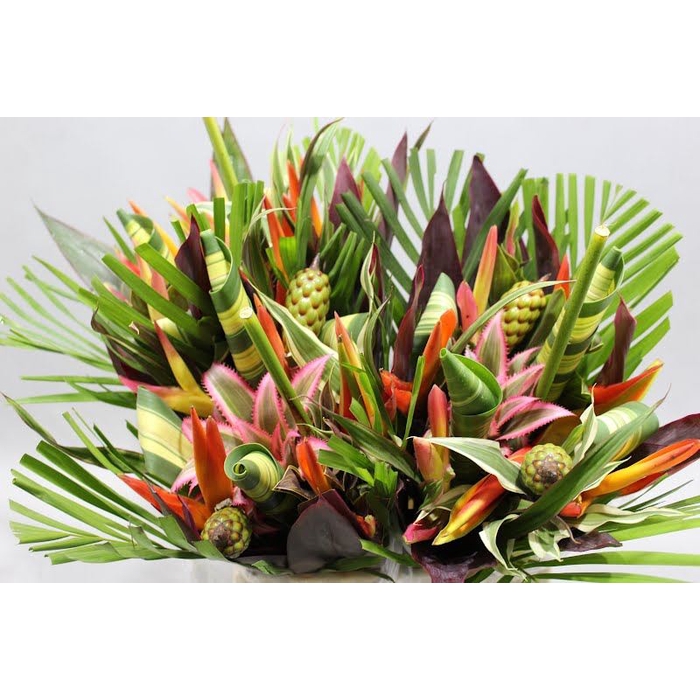 <h4>HELICONIA BQT BAMBA ROND</h4>